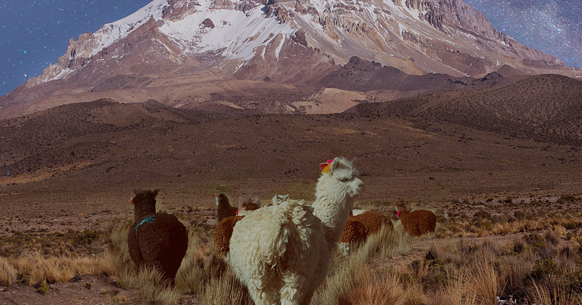 Parques nacionales de Bolivia (Foto: Pedro Laguna) 